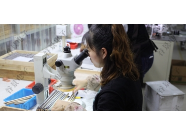 线圈电感温度过高的原因有哪些